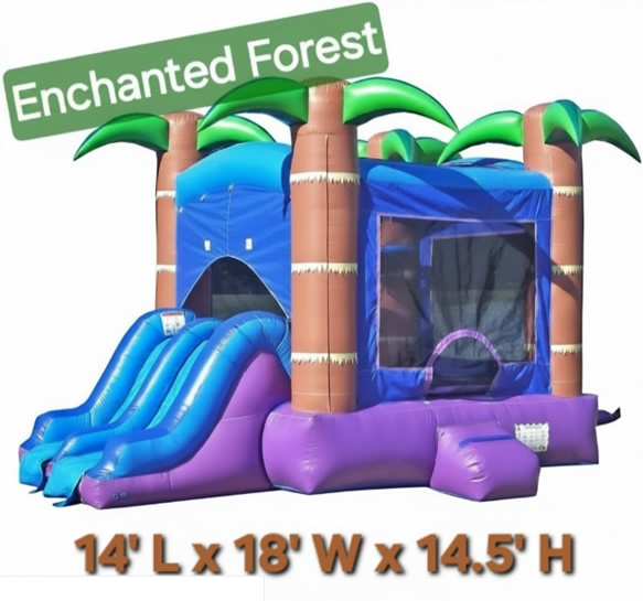 carnival-fair-bouncy